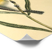 ヴィンテージイエローウォーブラーズ ポスター (角)