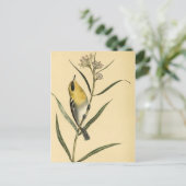 ヴィンテージイエローウォーブラーズ ポストカード (スタンド正面)