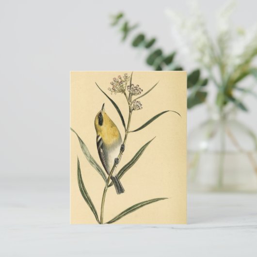 ヴィンテージイエローウォーブラーズ ポストカード (スタンド正面)