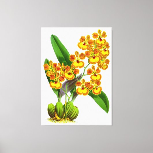 ヴィンテージイエローオレンジオーキッドフラワー – キャンバス印刷 キャンバスプリント (正面)