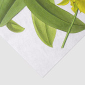 ヴィンテージイエローオーキッドフラワーティッシュペーパー 薄葉紙 (詳細)