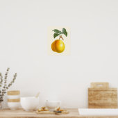 ヴィンテージイエローナセボタニカルプリント ポスター (キッチン)