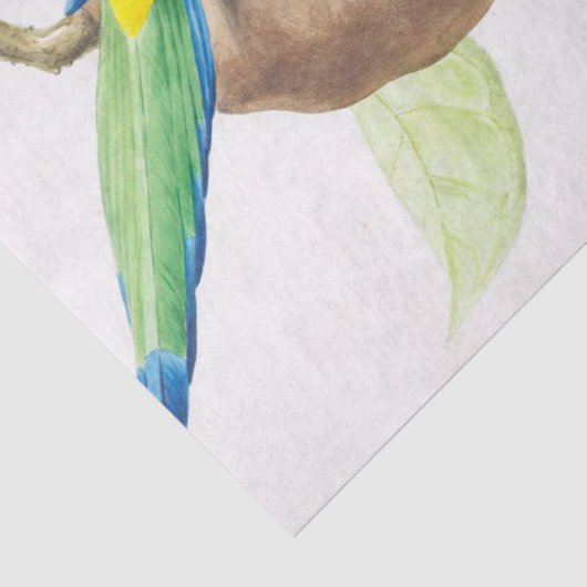 ヴィンテージイエローバードエフエメラデクページ 薄葉紙 (詳細)