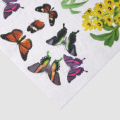 ヴィンテージイエローパープルオーキッドオレンジピンクバタフライ 薄葉紙 (詳細)