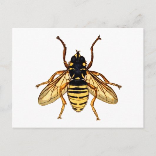 ヴィンテージイエロービー ポストカード (正面)