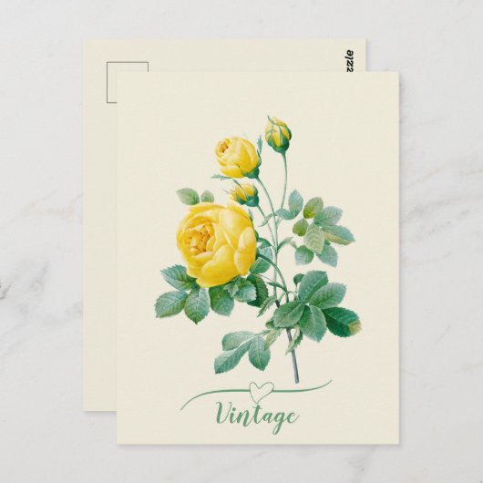 ヴィンテージイエローローズファインアート ポストカード (正面/裏面)