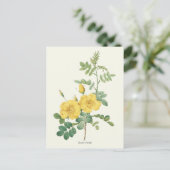 ヴィンテージイエローローズボタニカルプリント ポストカード (スタンド正面)