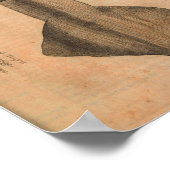 ヴィンテージイカアートプリントイラストレーションシー ポスター (角)