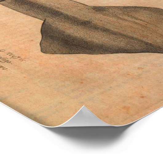 ヴィンテージイカアートプリントイラストレーションシー ポスター (角)