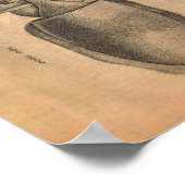 ヴィンテージイカアートプリントシーライフイラストレーション ポスター (角)