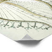 ヴィンテージイカイラストレーション ポスター (角)