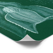 ヴィンテージイカイラストレーション ポスター (角)