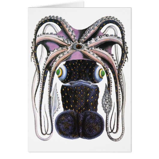 ヴィンテージイカ又はタコ海洋生物動物 (正面)