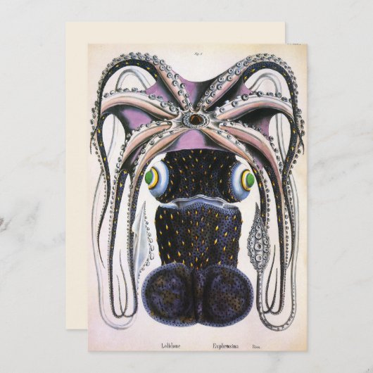 ヴィンテージイカ又はタコ海洋生物動物 (正面/裏面)