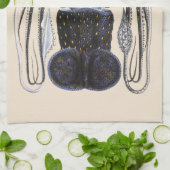 ヴィンテージイカ又はタコ海洋生物動物 キッチンタオル (折り畳み)