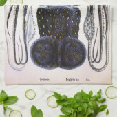 ヴィンテージイカ又はタコ海洋生物動物 キッチンタオル (折り畳み)