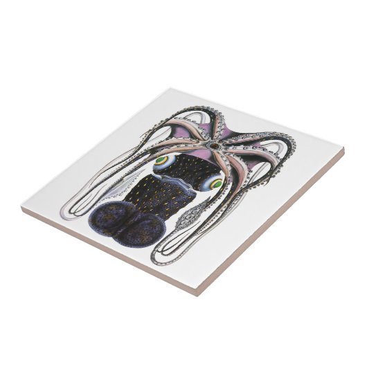 ヴィンテージイカ又はタコ海洋生物動物 タイル (側面)