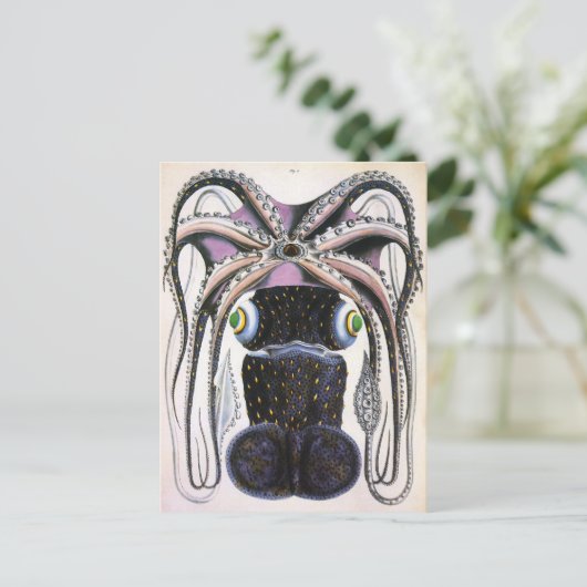 ヴィンテージイカ又はタコ海洋生物動物 ポストカード (スタンド正面)