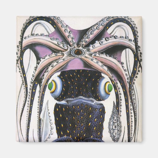 ヴィンテージイカ又はタコ海洋生物動物 マグネット (正面)