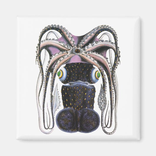 ヴィンテージイカ又はタコ海洋生物動物 マグネット (正面)