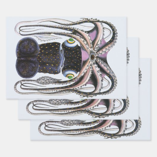 ヴィンテージイカ又はタコ海洋生物動物 ラッピングペーパーシート (セット)