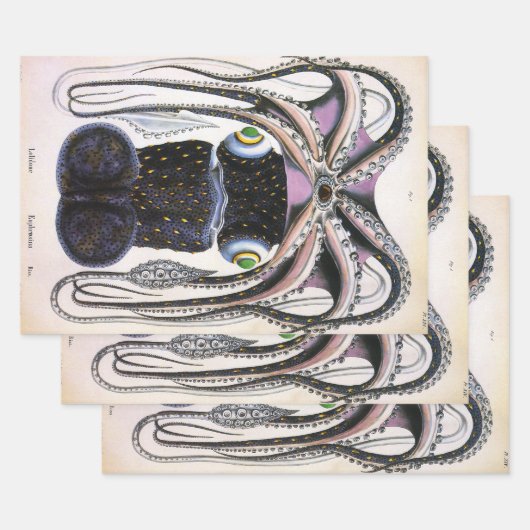 ヴィンテージイカ又はタコ海洋生物動物 ラッピングペーパーシート (セット)