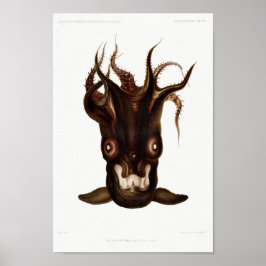 ヴィンテージイカ/タコイラストレーション ポスター