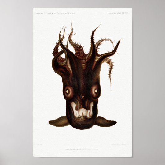 ヴィンテージイカ/タコイラストレーション ポスター (正面)