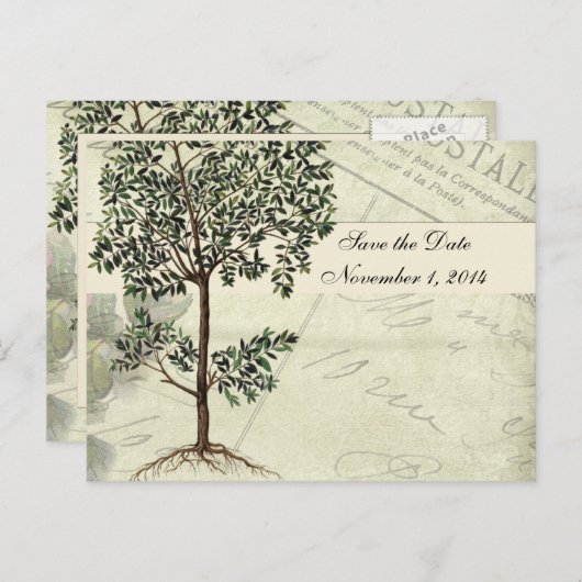 ヴィンテージイタリアンマートル日付の保存 案内ポストカード (正面/裏面)