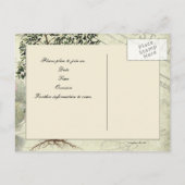 ヴィンテージイタリアンマートル日付の保存 案内ポストカード (裏面)