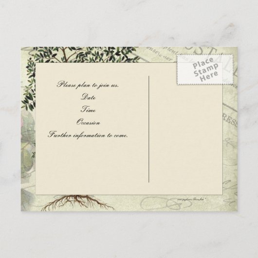 ヴィンテージイタリアンマートル日付の保存 案内ポストカード (裏面)