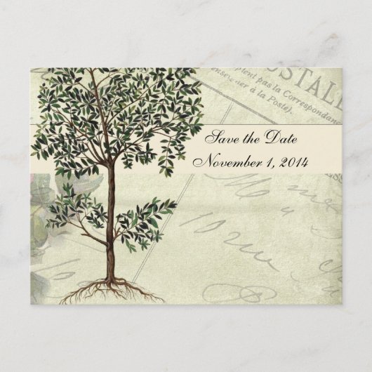 ヴィンテージイタリアンマートル日付の保存 案内ポストカード (正面)