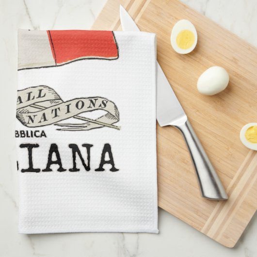 ヴィンテージイタリア国旗 キッチンタオル (四つ折り)