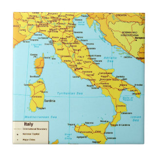 ヴィンテージイタリア地図タイル タイル