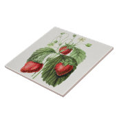 ヴィンテージイチゴイラストレーション タイル (側面)