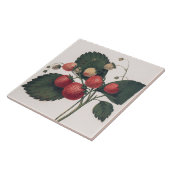 ヴィンテージイチゴイラストレーション タイル (側面)