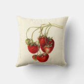 ヴィンテージイチゴスケッチアート クッション (裏面)