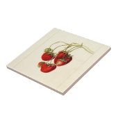 ヴィンテージイチゴスケッチアート タイル (側面)