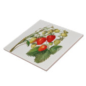 ヴィンテージイチゴ枝 タイル (側面)