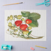 ヴィンテージイチゴ枝 薄葉紙 (クラフト)