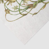 ヴィンテージイチゴ枝 薄葉紙 (詳細)