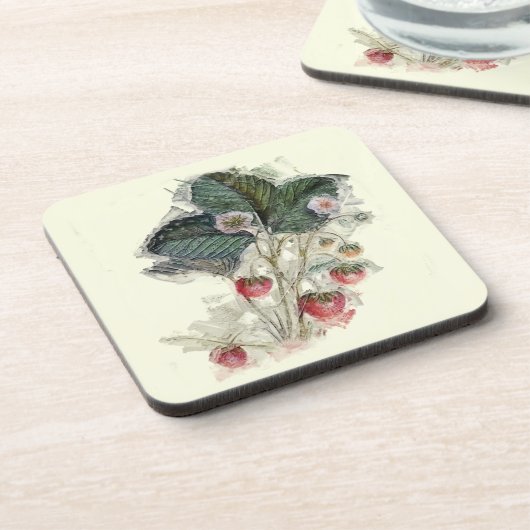 ヴィンテージイチゴ植物スケッチ コースター (左側)