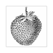 ヴィンテージイチゴ植物学 ラバースタンプ (インプリント)