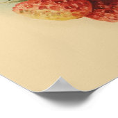 ヴィンテージイチゴ ポスター (角)