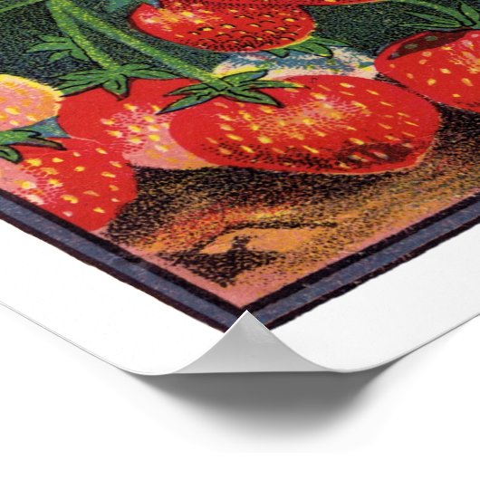 ヴィンテージイチゴ，農場のイチゴの植物 ポスター (角)