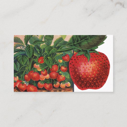 ヴィンテージイチゴ，農場のイチゴの植物 名刺 (裏面)