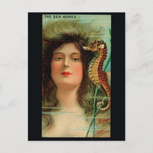 ヴィンテージイラストのポストカード ポストカード (正面)