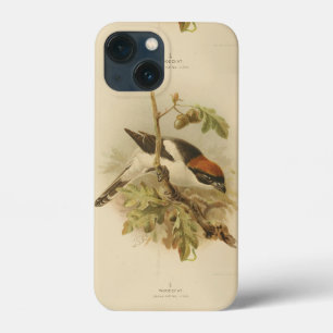 ヴィンテージイラストレーションのウッドチャットシュライク iPhone 13 MINIケース