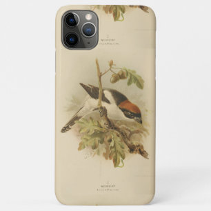 ヴィンテージイラストレーションのウッドチャットシュライク iPhone 11 PRO MAXケース