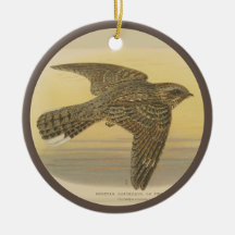 ヴィンテージイラストレーションのヨーロッパナイトジャー